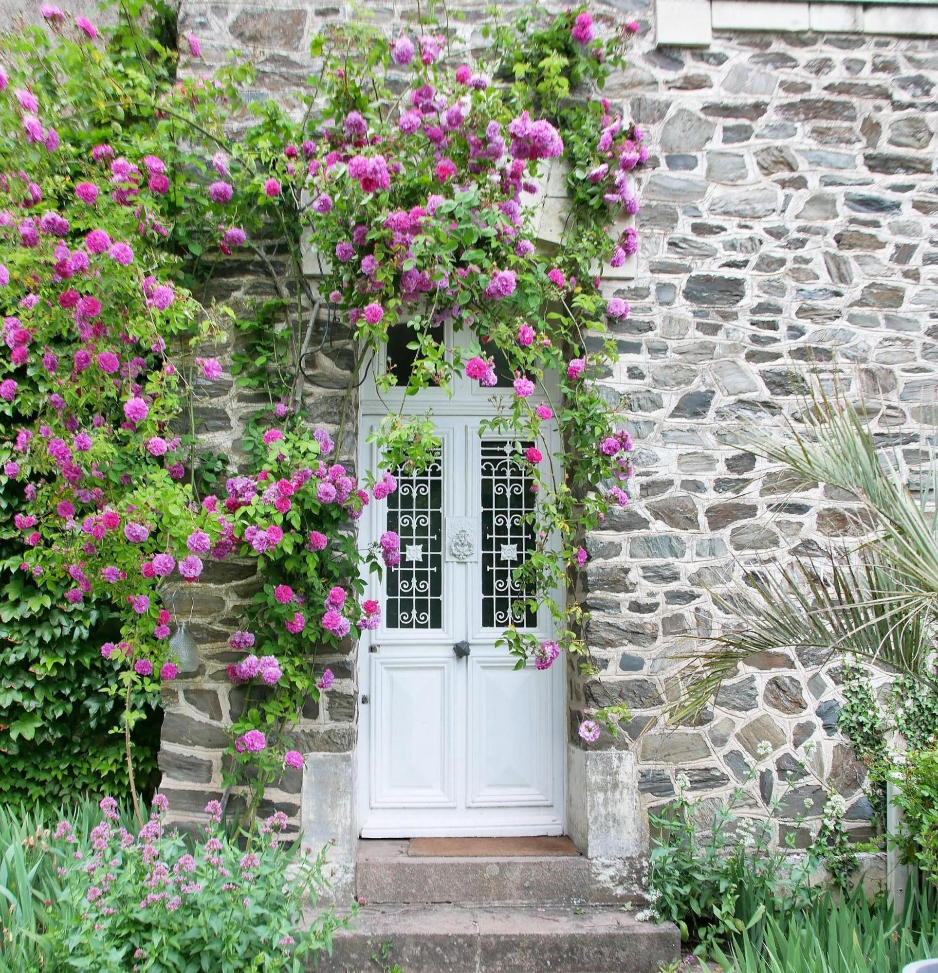 Maison D'Hotes La Bien-Aimee Montrevault ภายนอก รูปภาพ